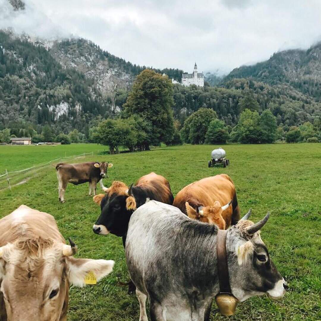 Roadtrip Deutschland 2020