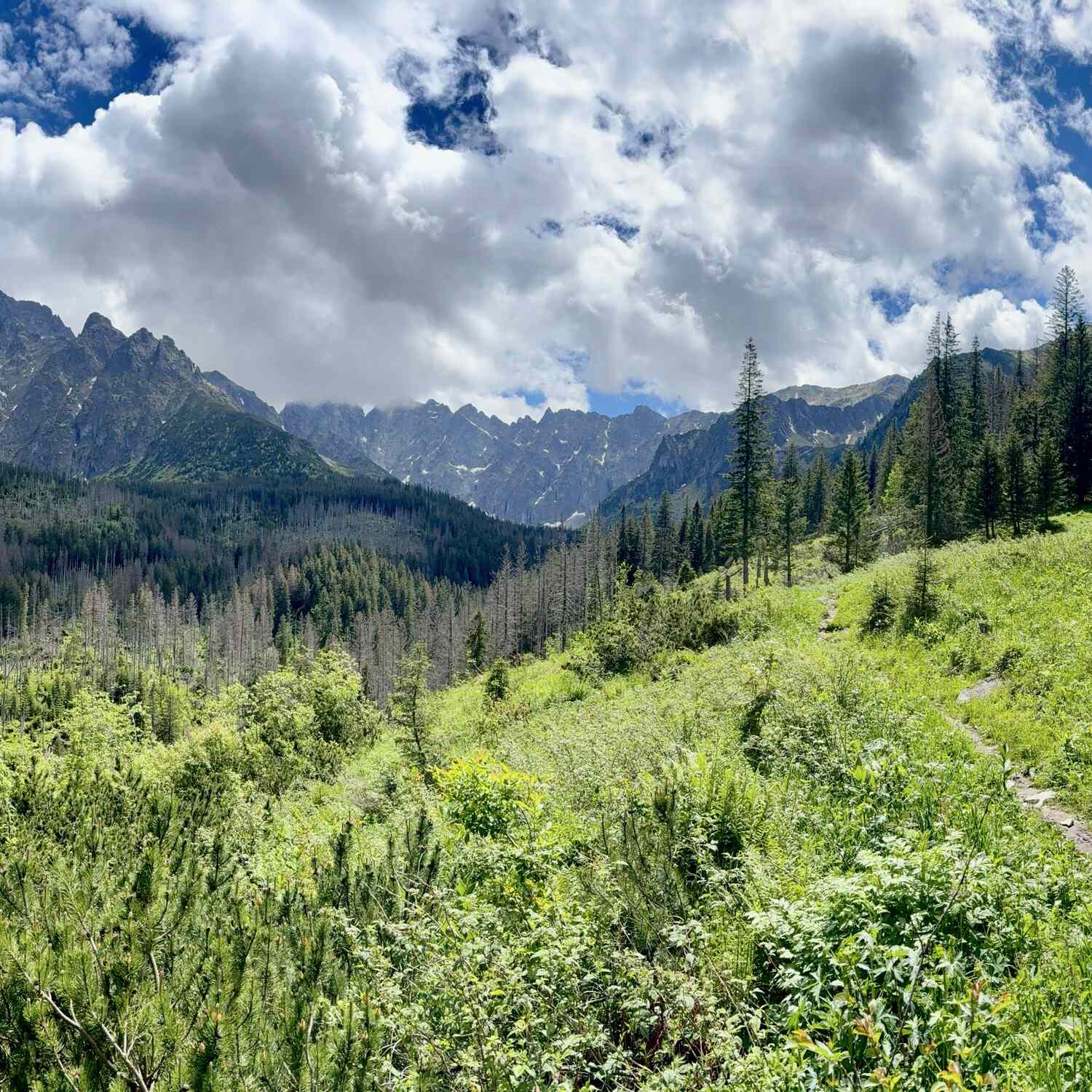 Hohe Tatra