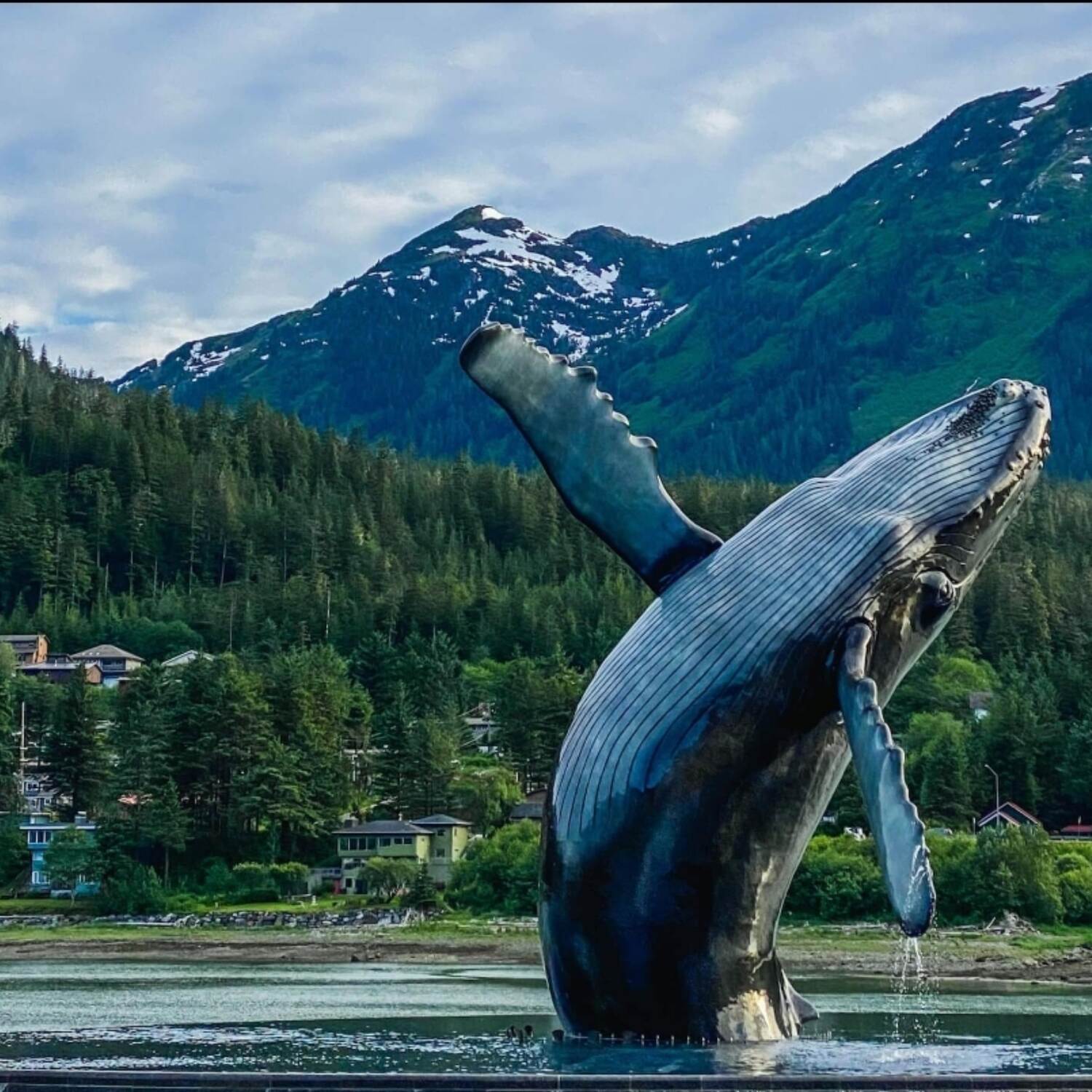 Alaska Cruise Fall 2024