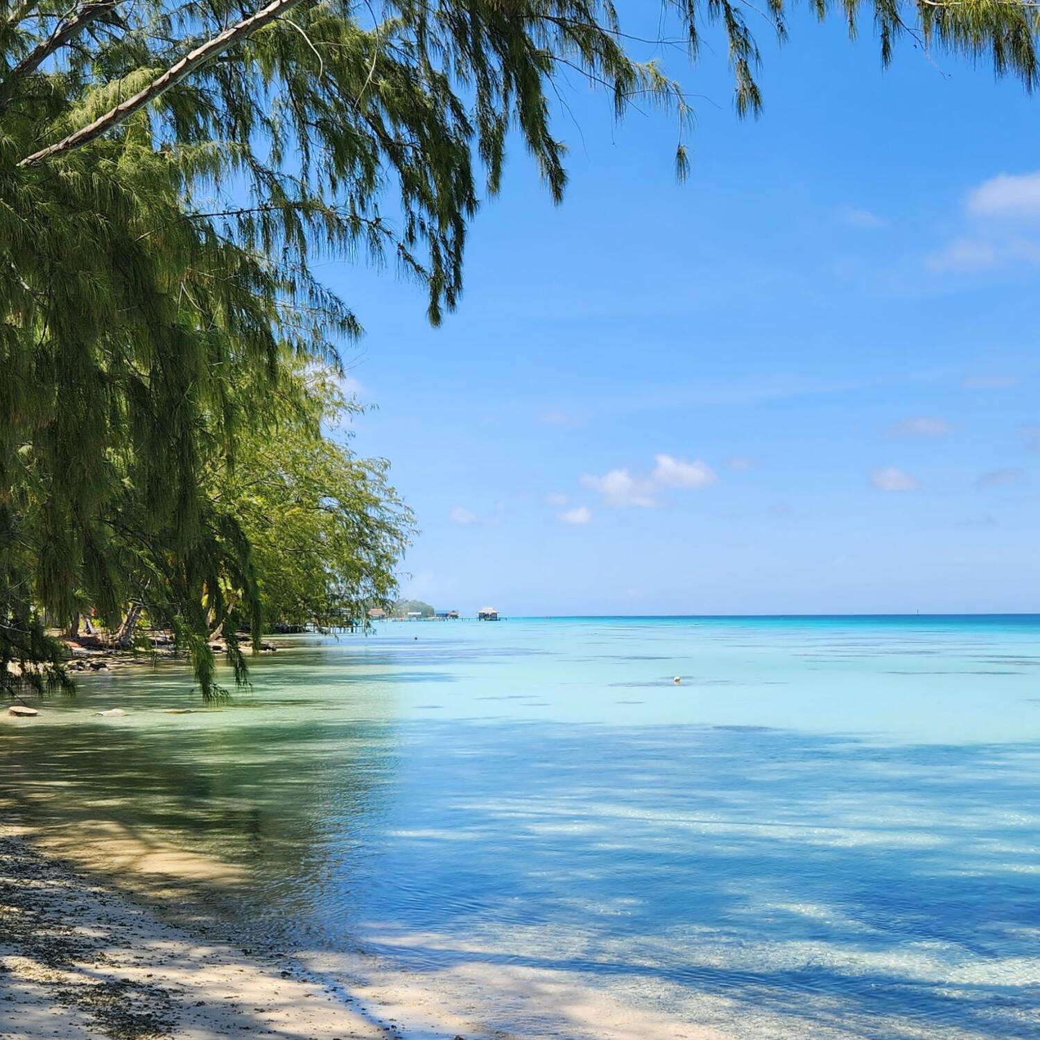 Tales of the South Pacific