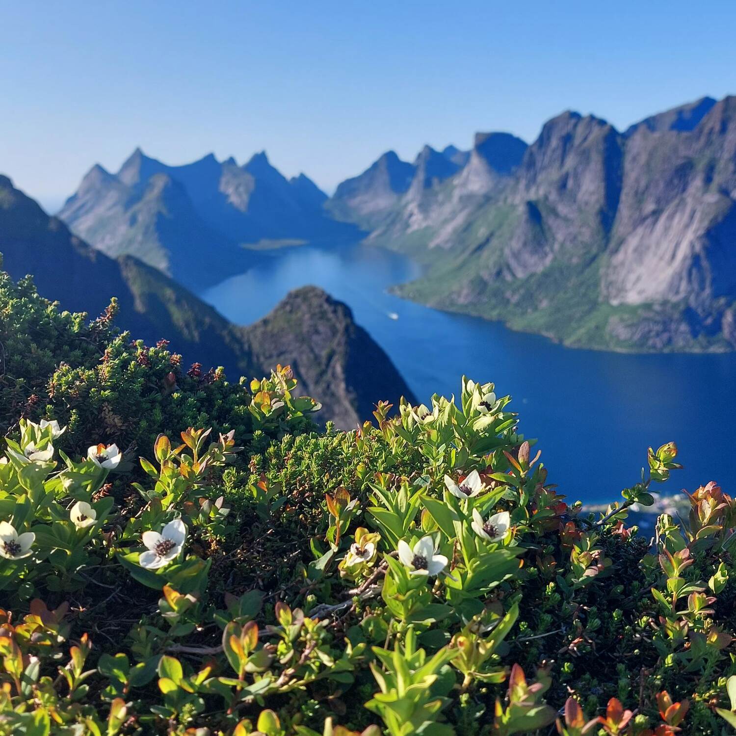 Norway
