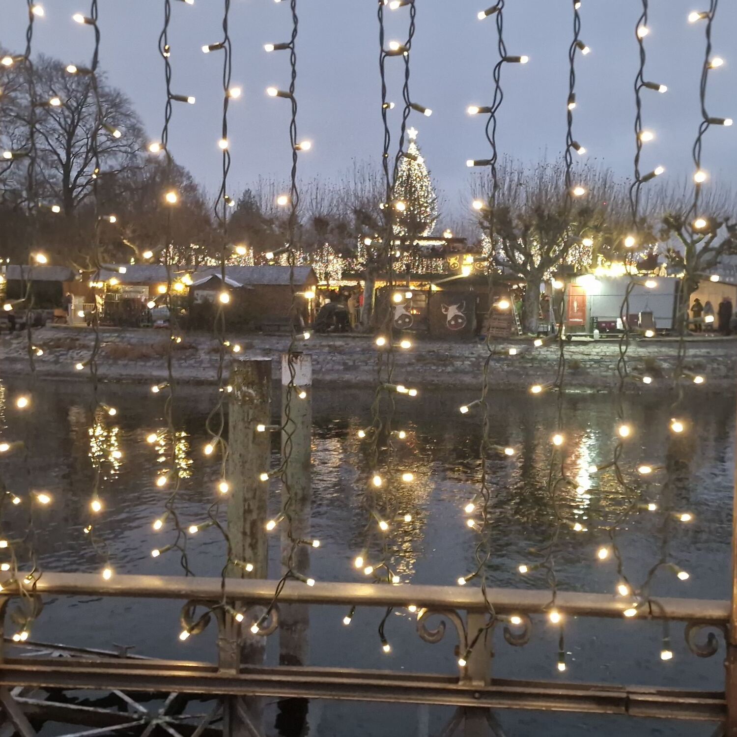 Bodensee - Öhningen