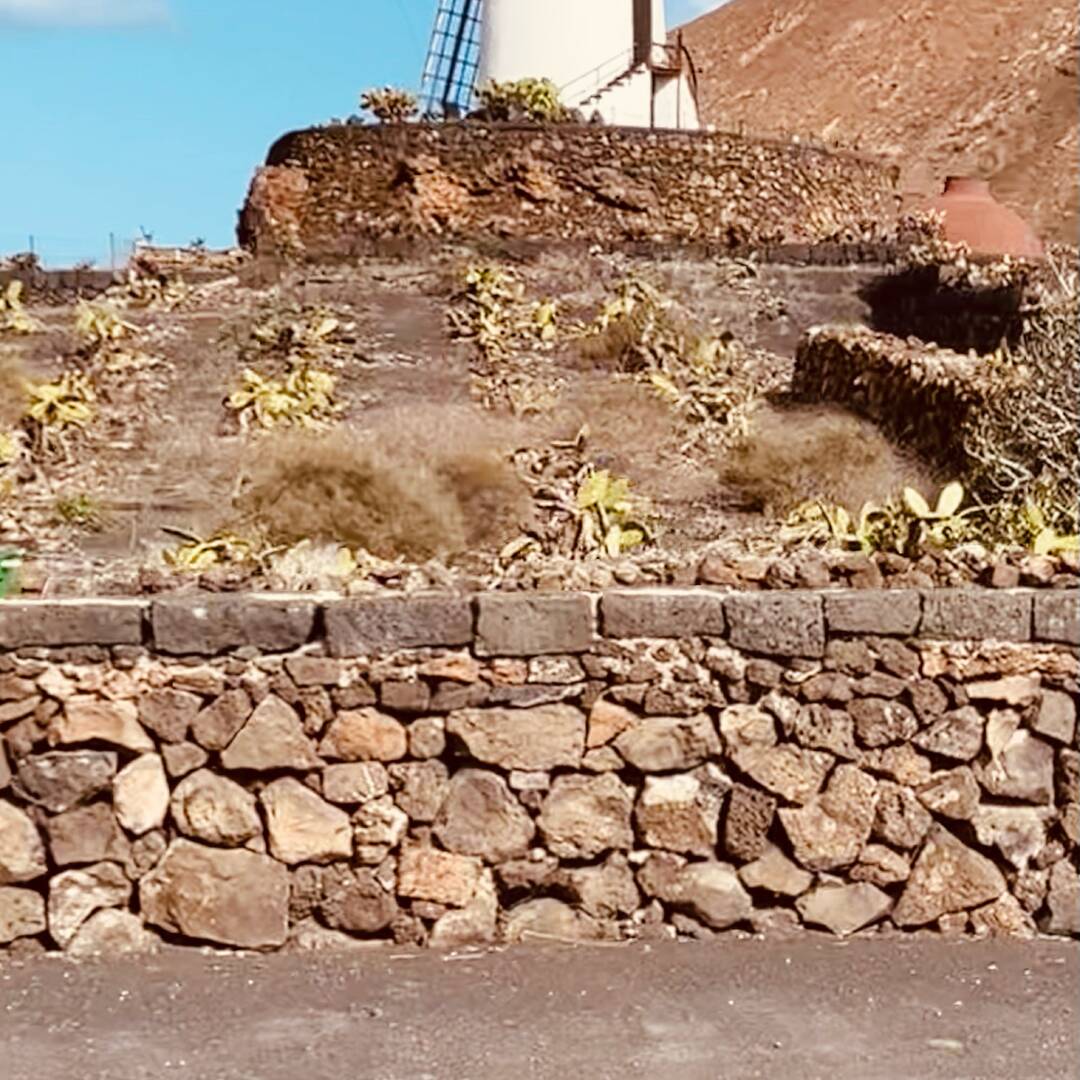 fuertoventura