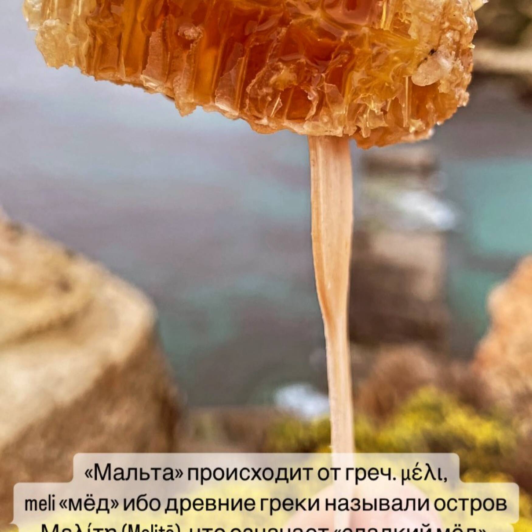 Malta