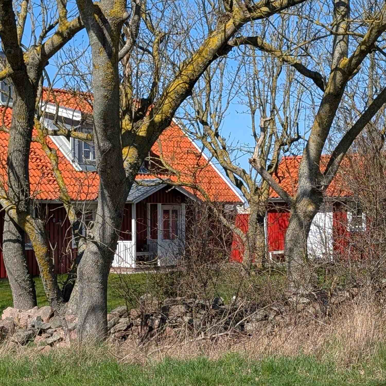 Diesmal Skandinavien