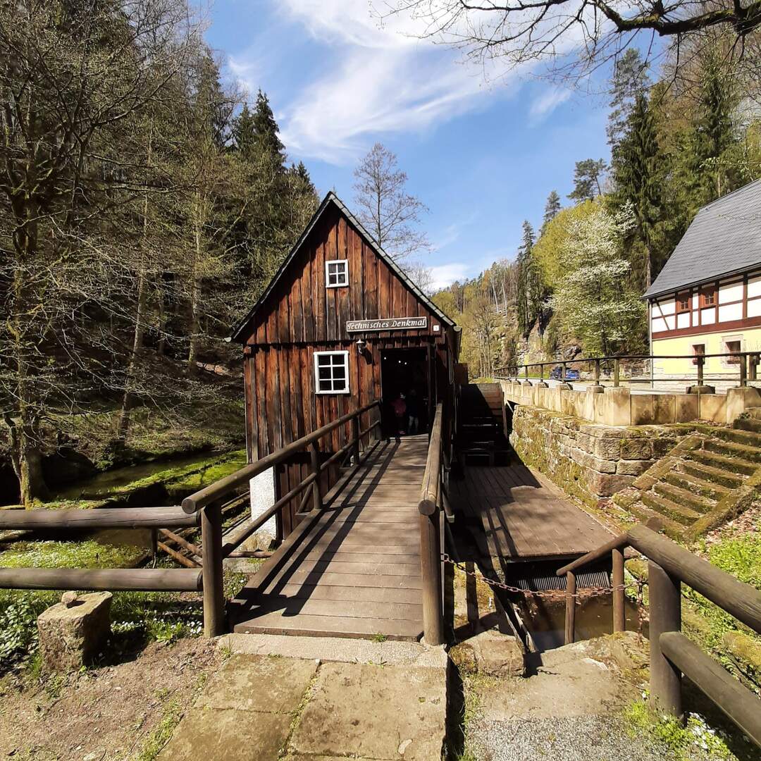 Im Land des Borkenkäfers 2021