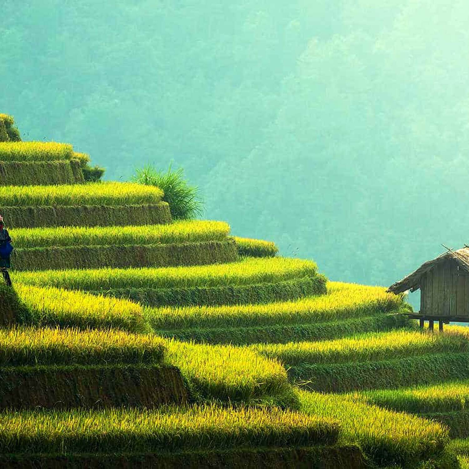 Southeast Asia 🥰