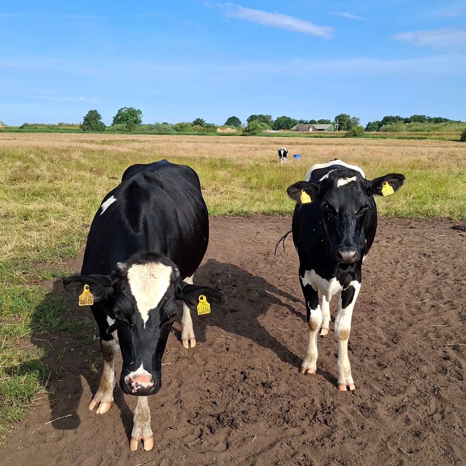 Norddeutschland-Tour