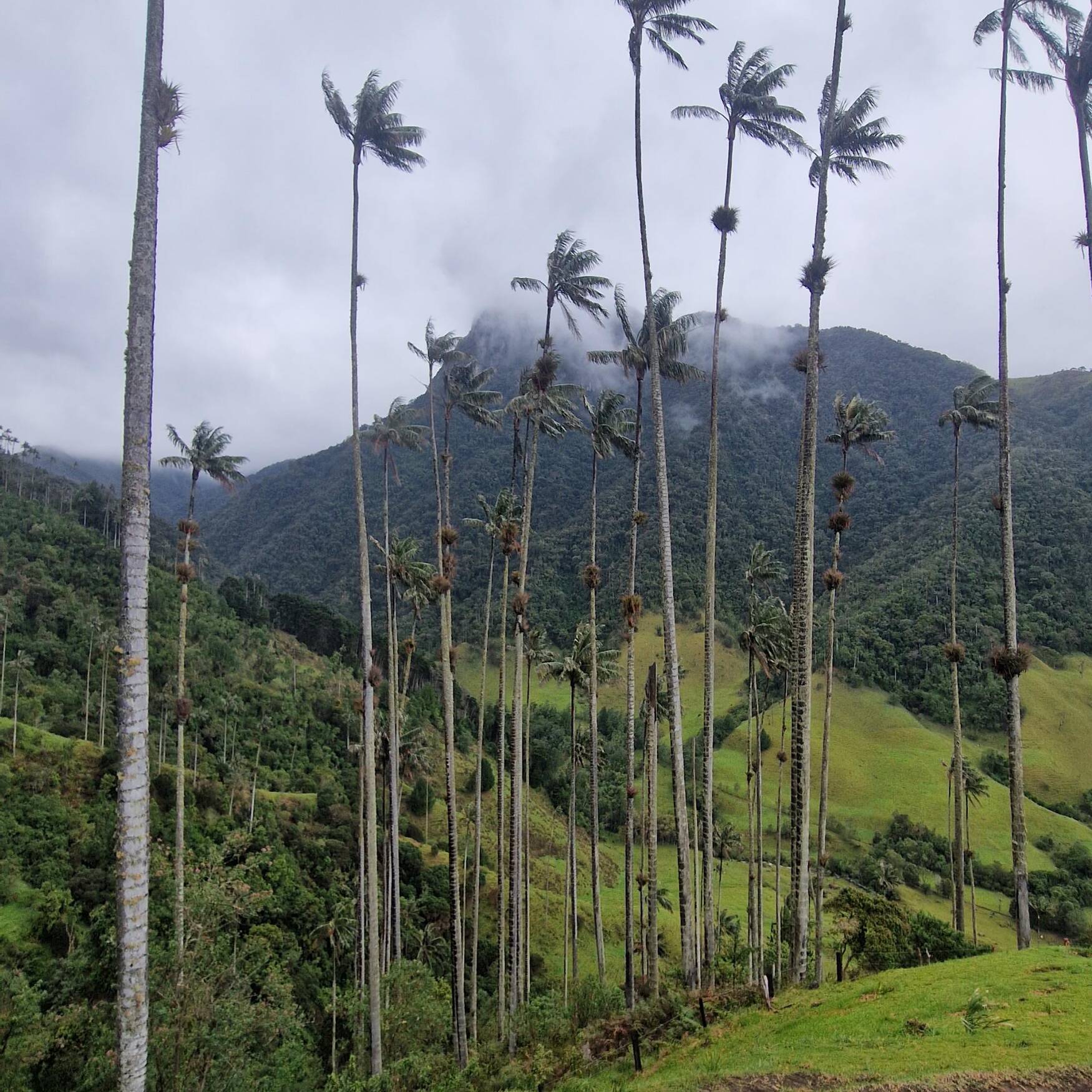 Kolumbien und DomRep