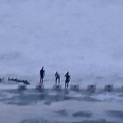Aussies wandering.