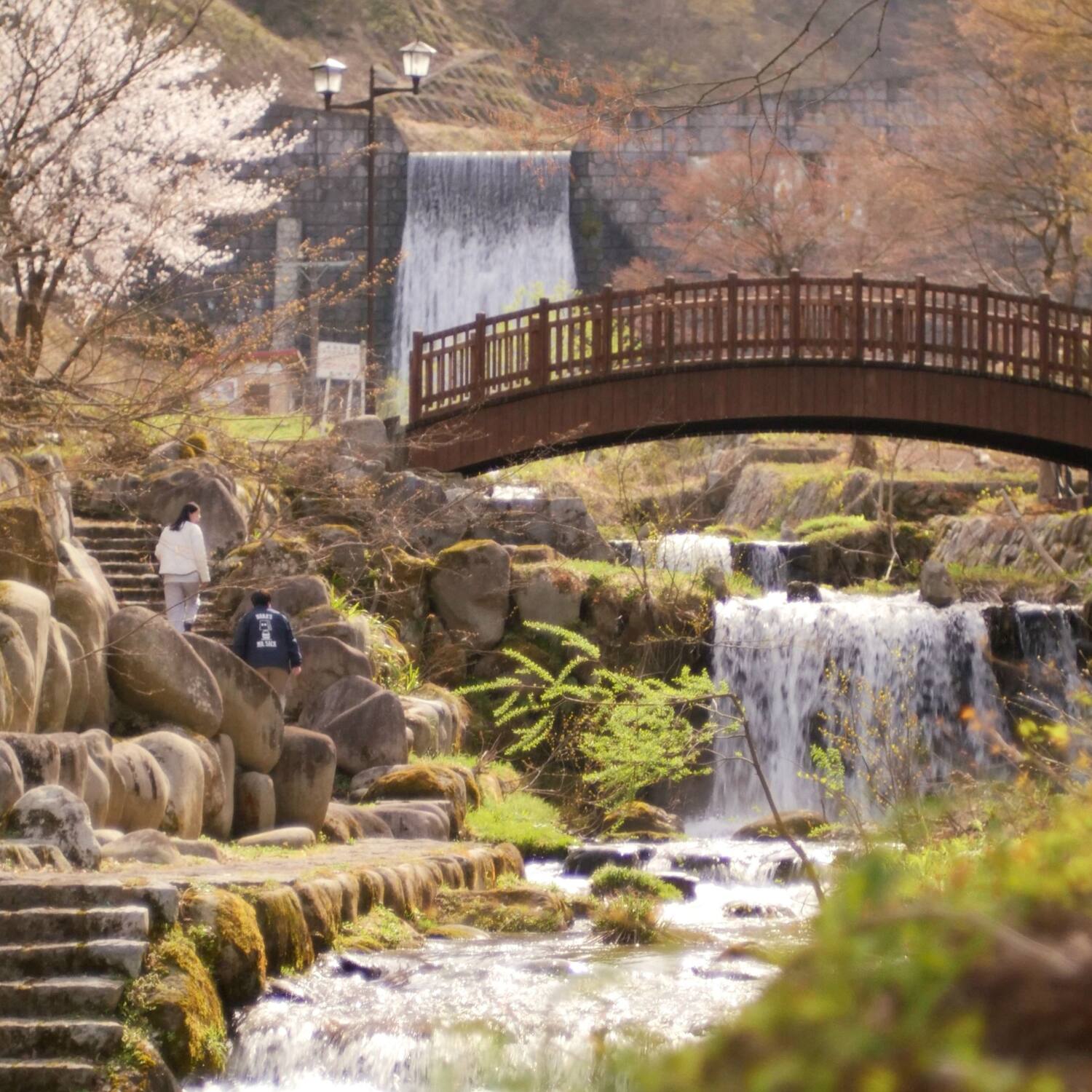 Japan 2026🇯🇵🌸