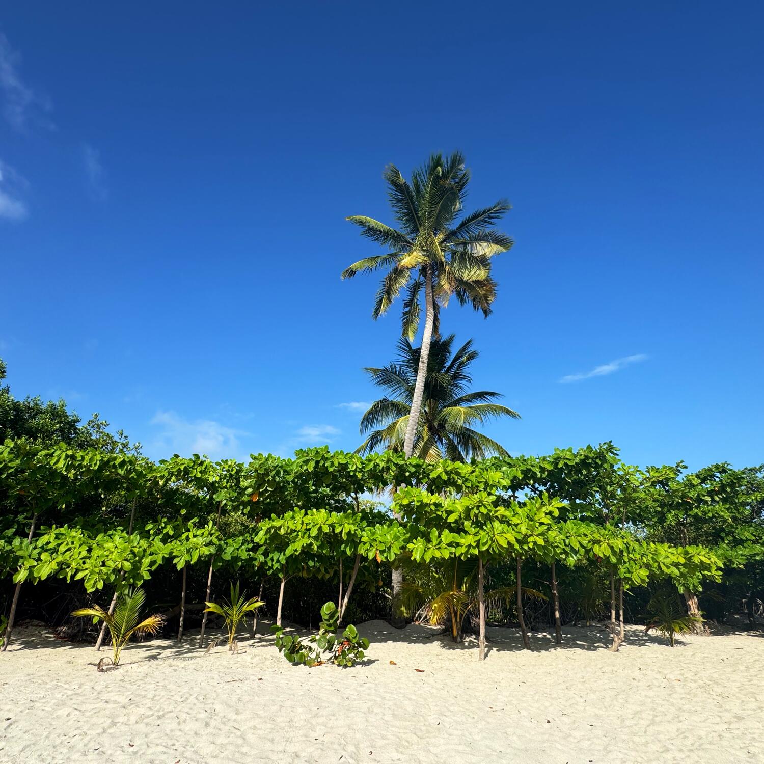 Karibische Auszeit 🇵🇦🇨🇴