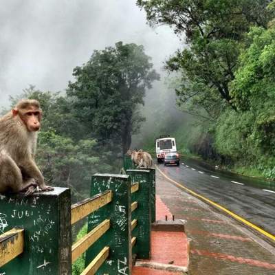 wayanad,kerala