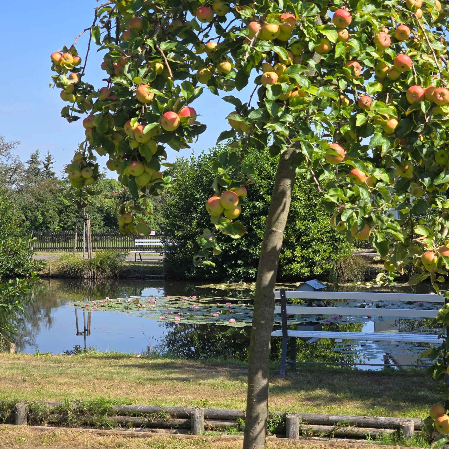 Über Düsseldorf nach Portugal