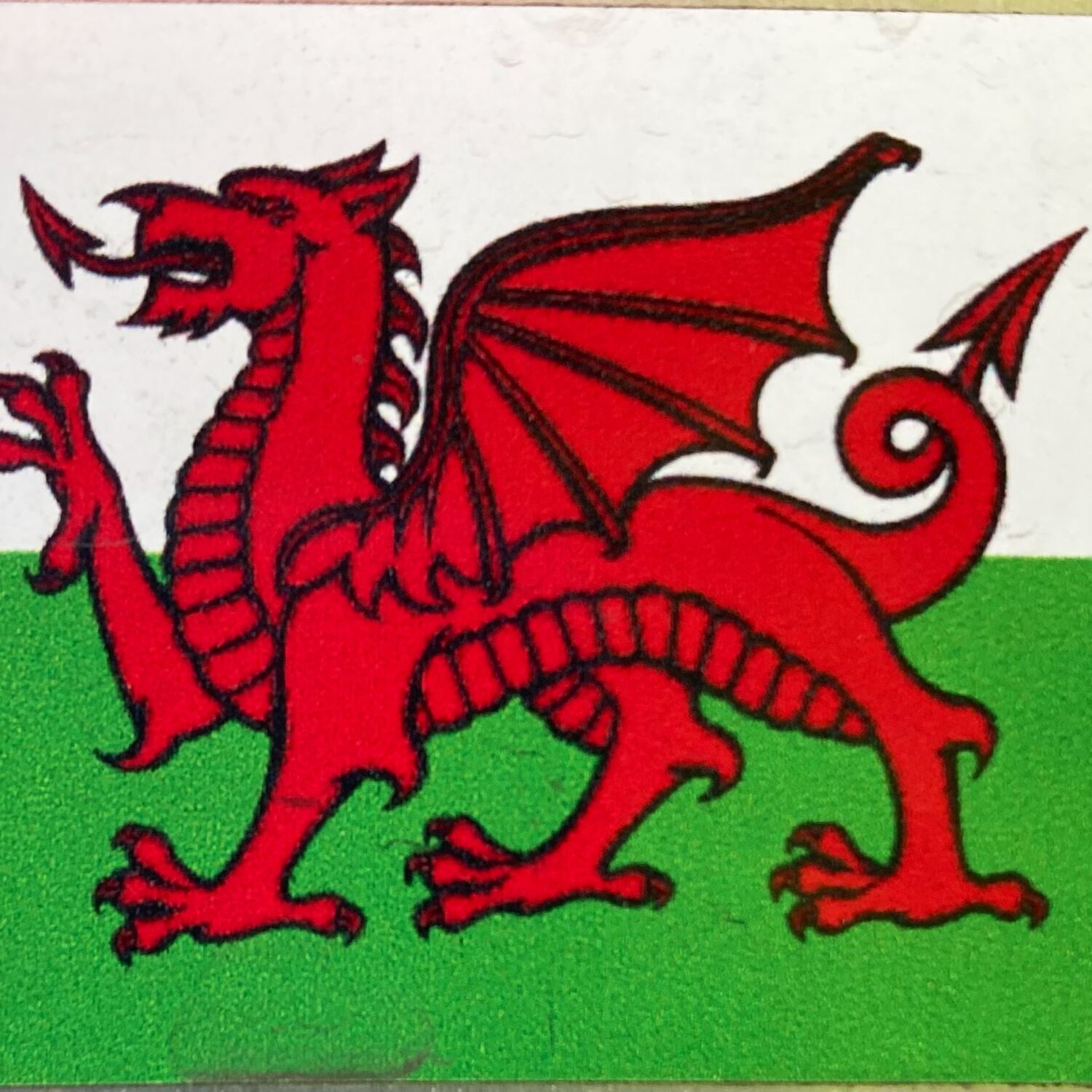 Wales 🏴󠁧󠁢󠁷󠁬󠁳󠁿