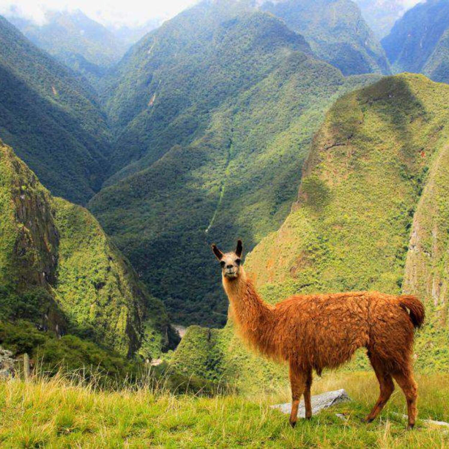 South America backpacking