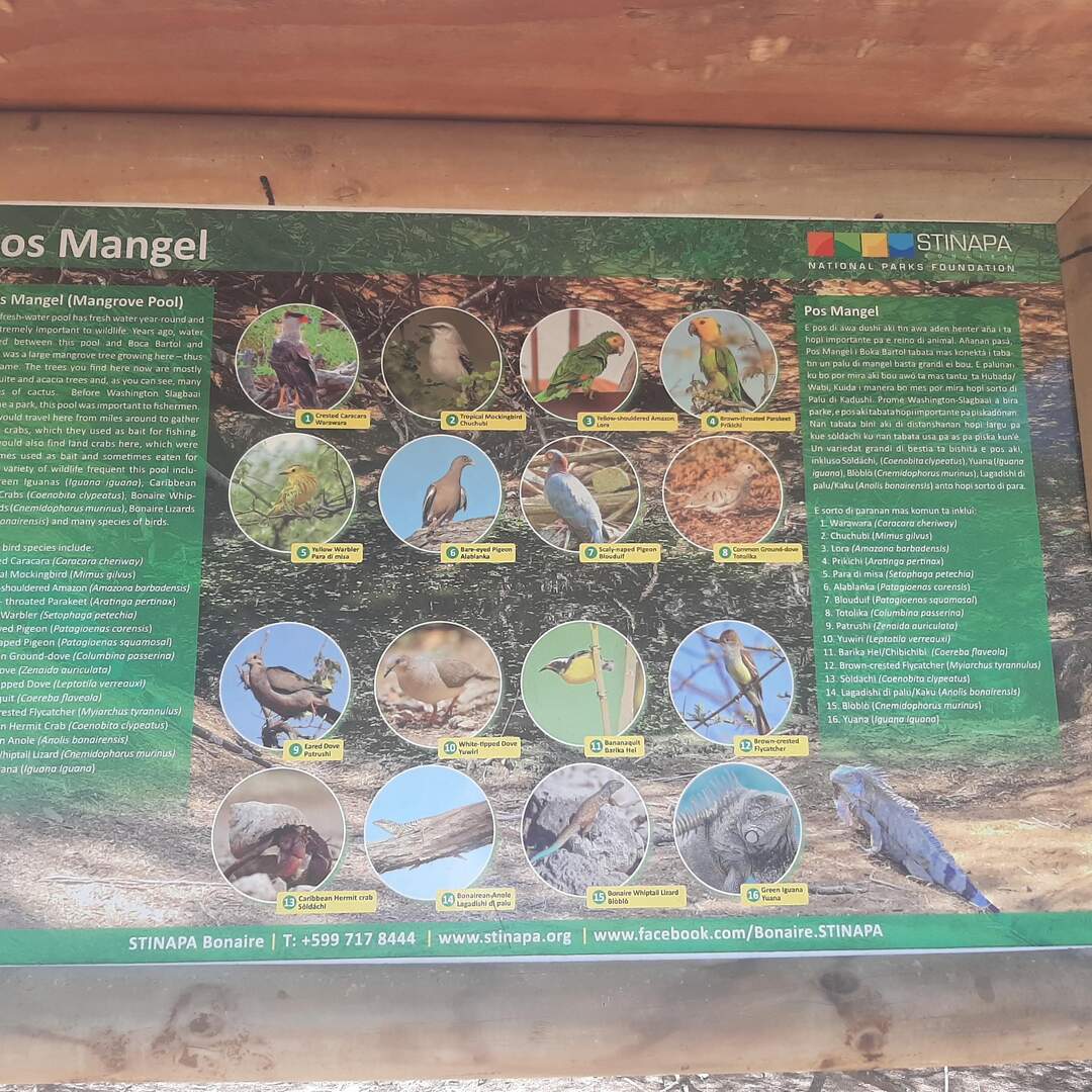 Bonaire