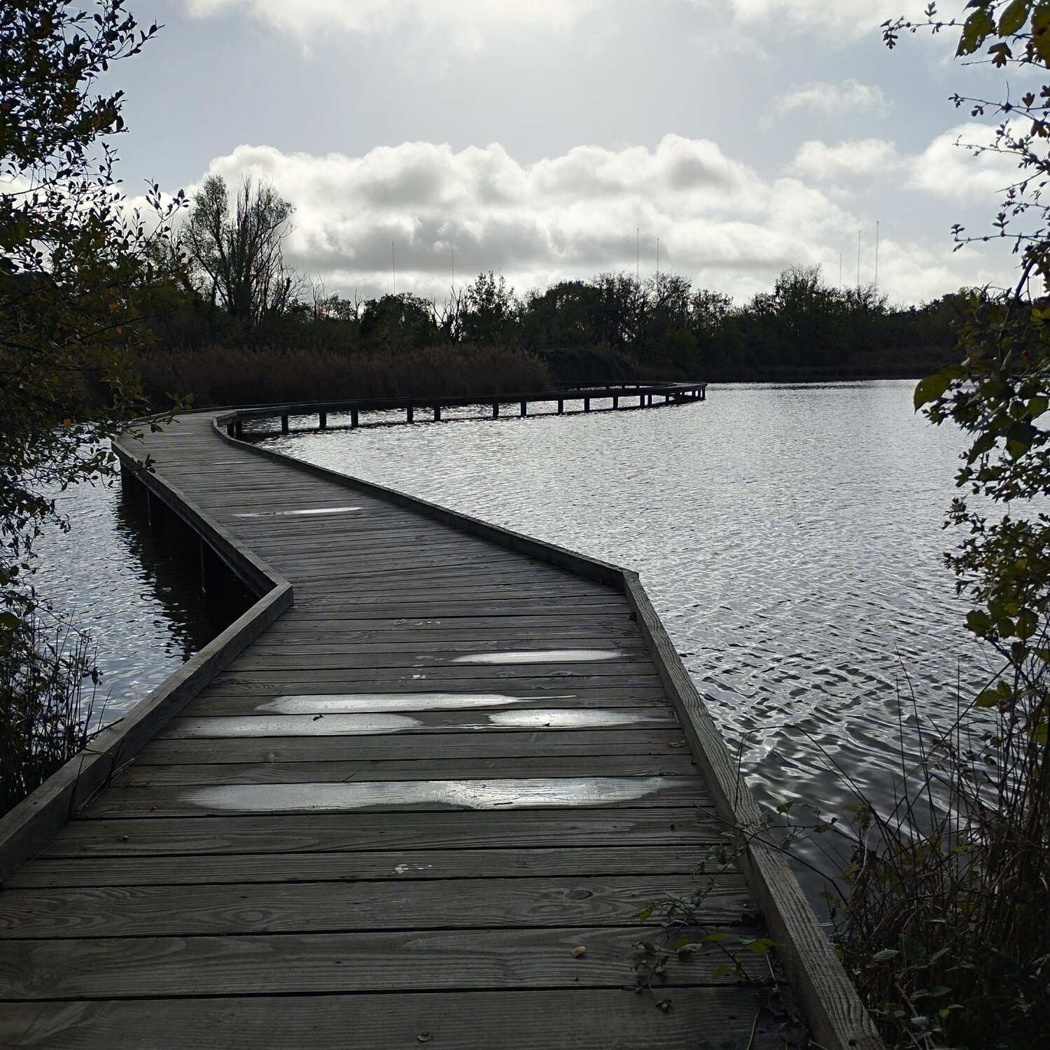 2023 - 2 jours en Brenne 🌧️