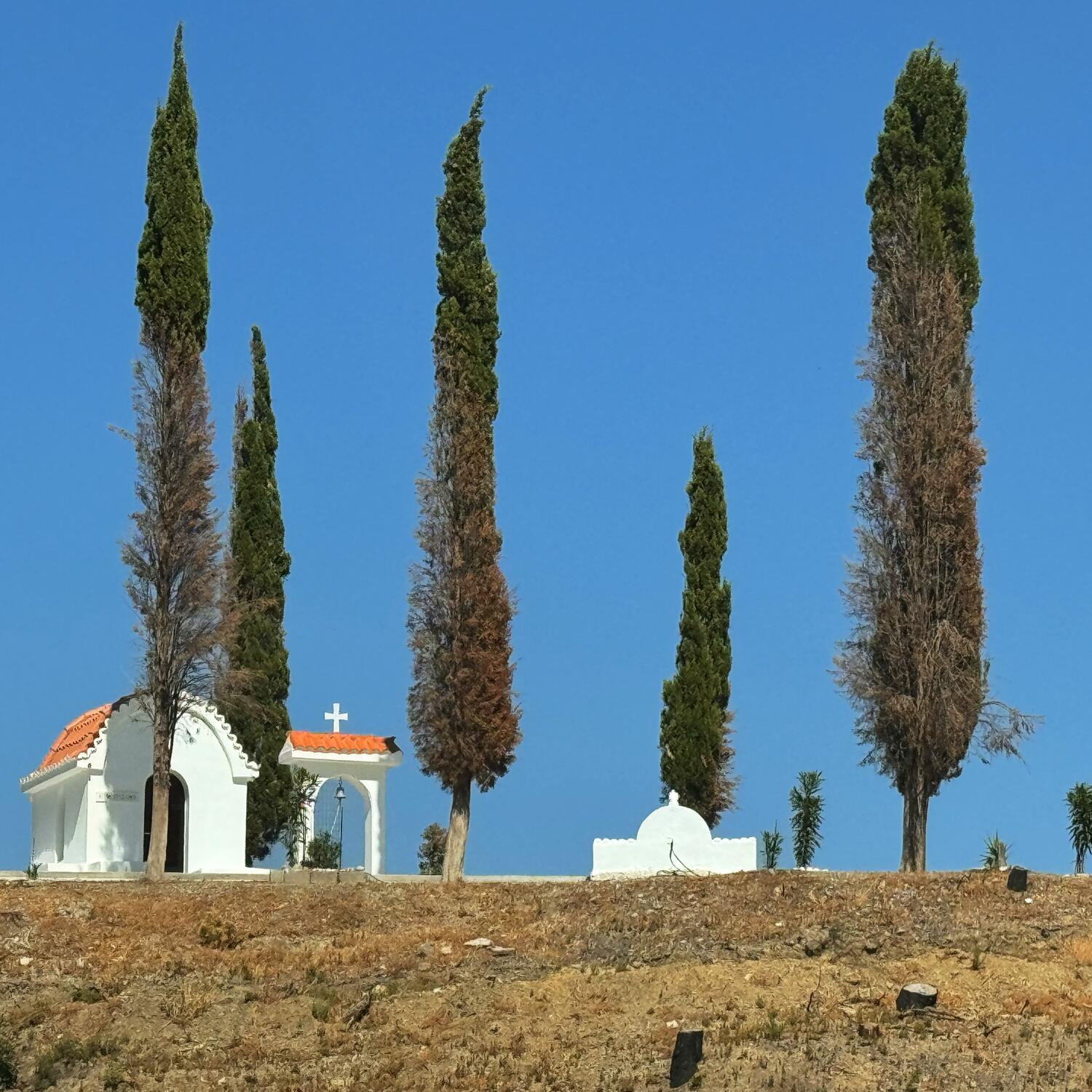 Rhodos reloaded