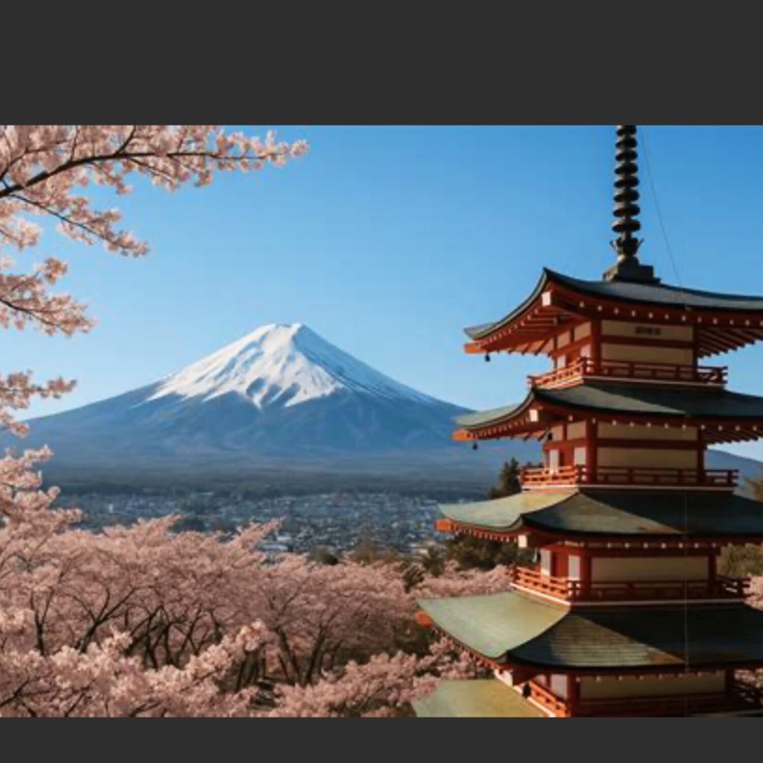 Japan - Kirschblüte 2026