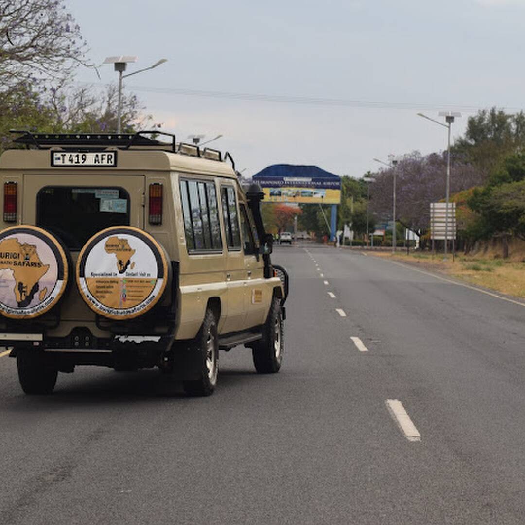 Serengeti safari tours