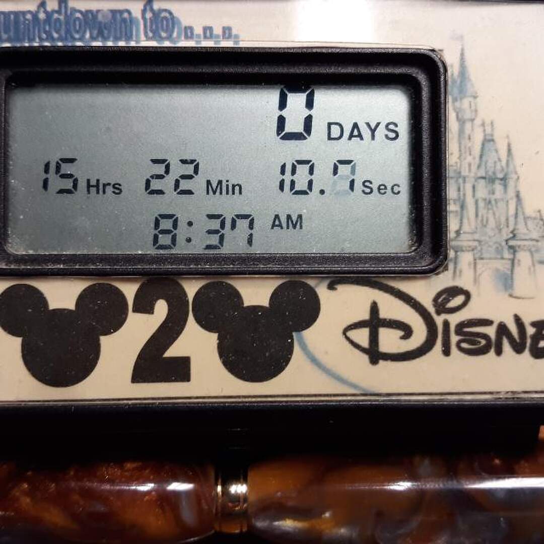David's Disney 50 Adventure