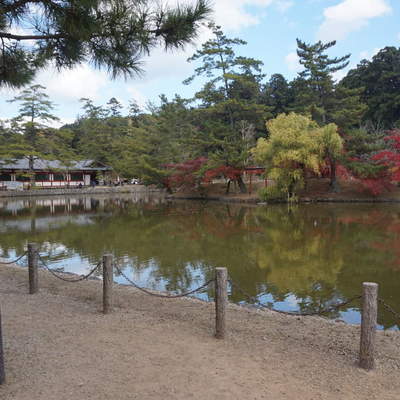 Honeymoon in Japan