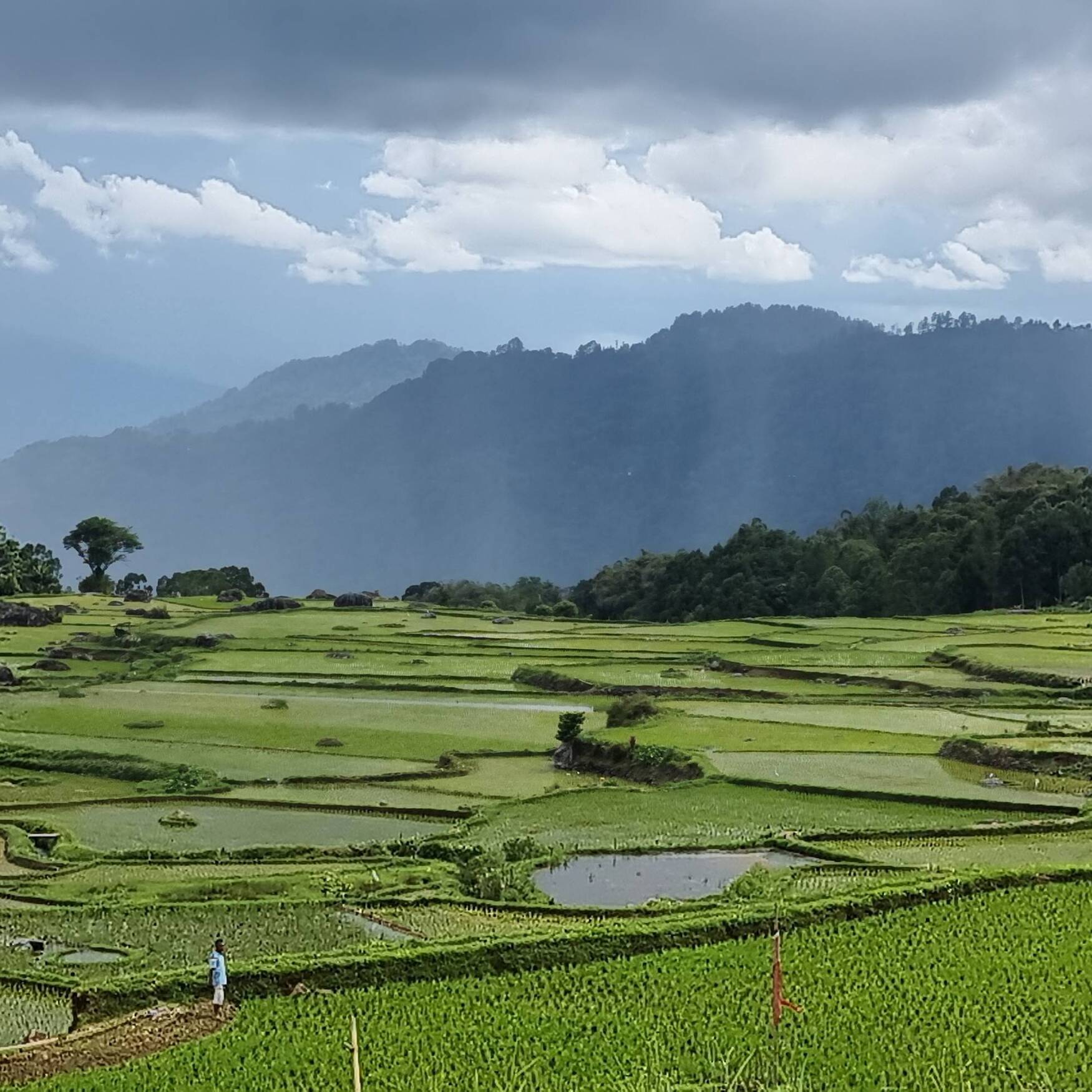 Tana Toraja 2022