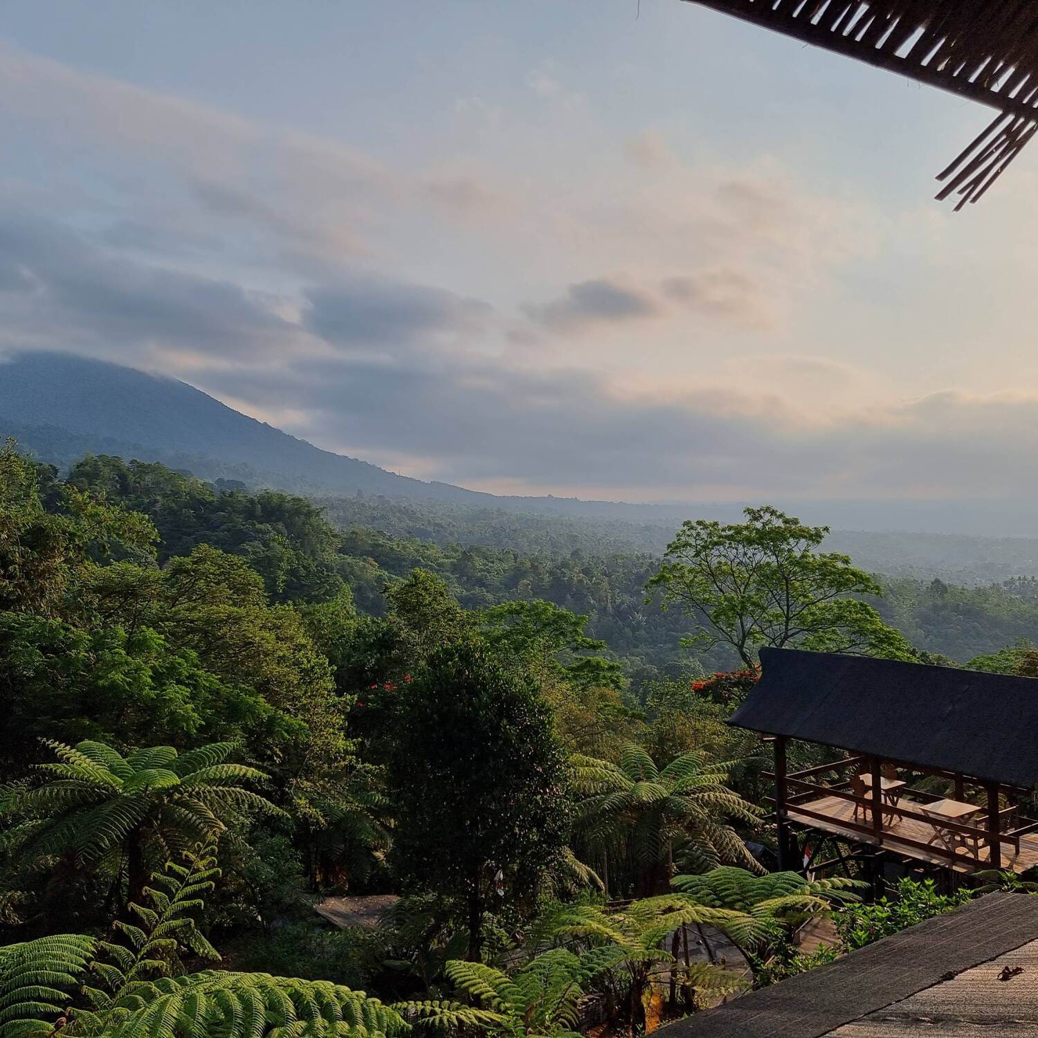 Bali Fieldtrip 2023