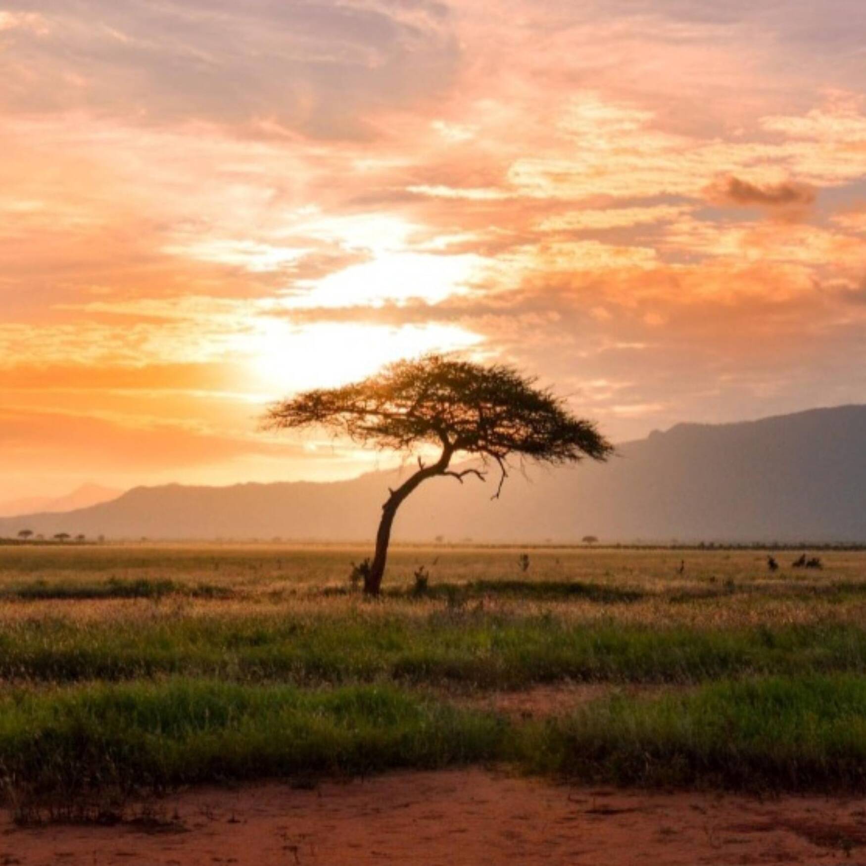 Kenia 🇰🇪