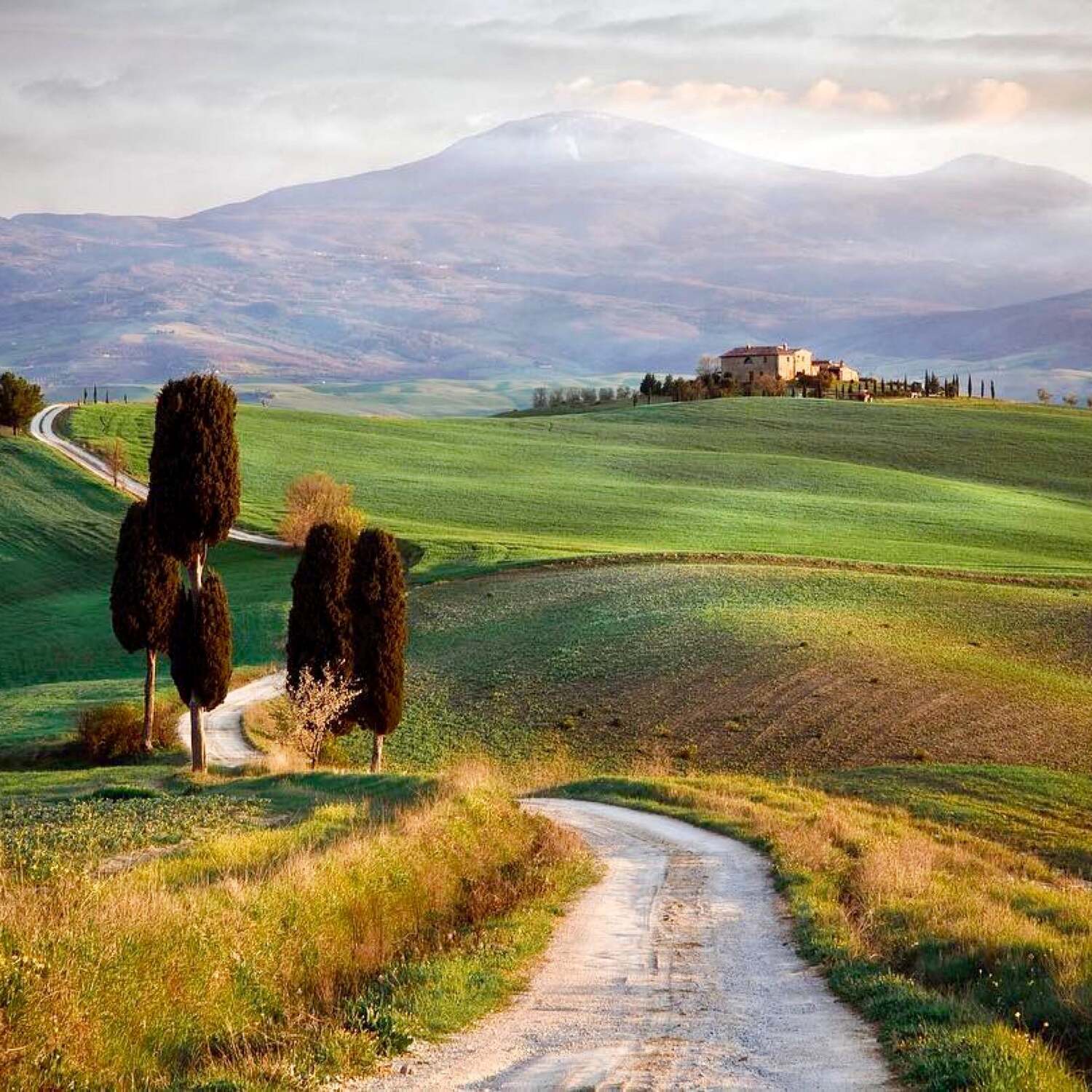 Wim op de Via Francigena