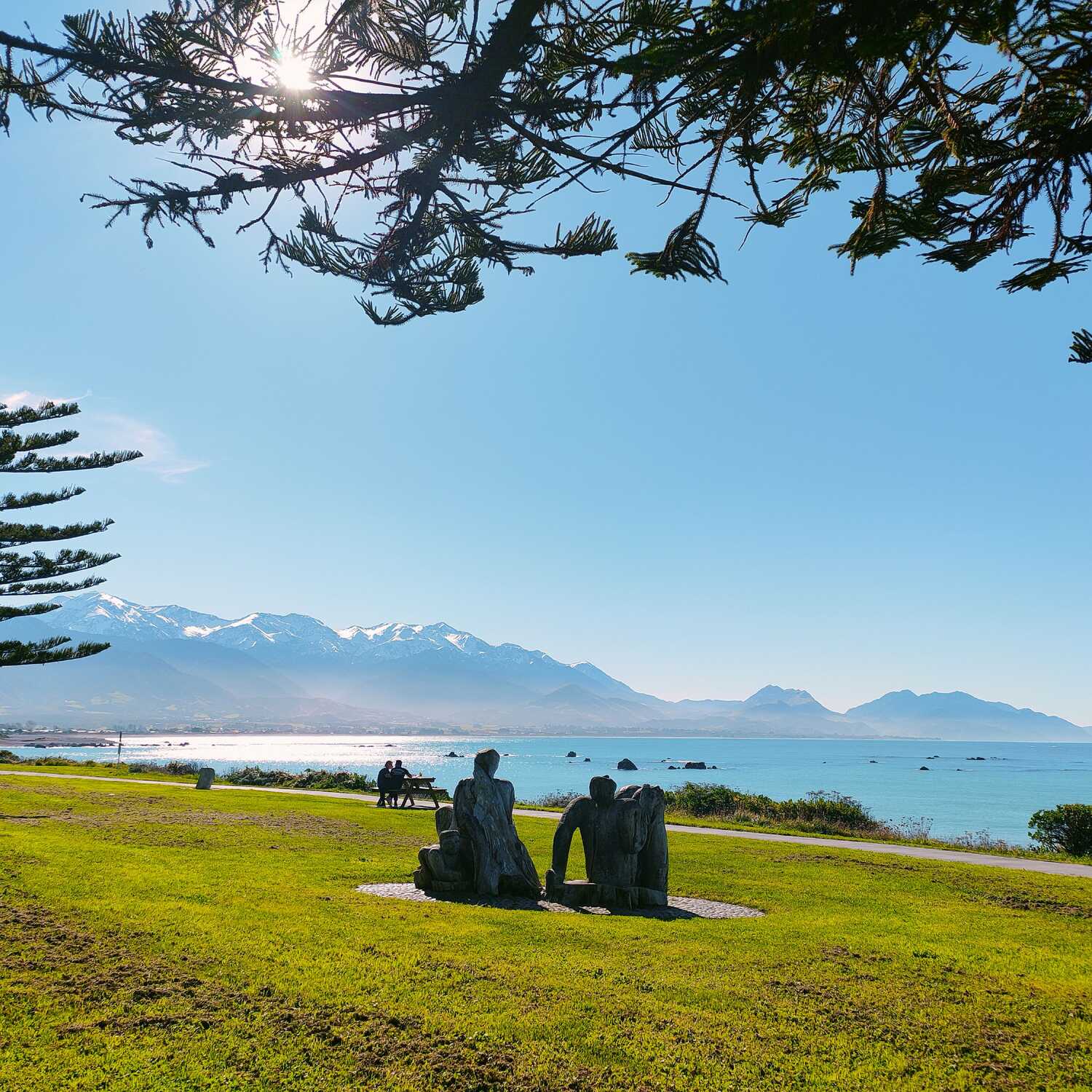 South Island Adventure