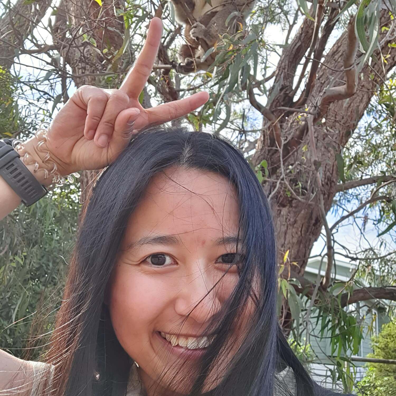 Metung to Lake Entrance