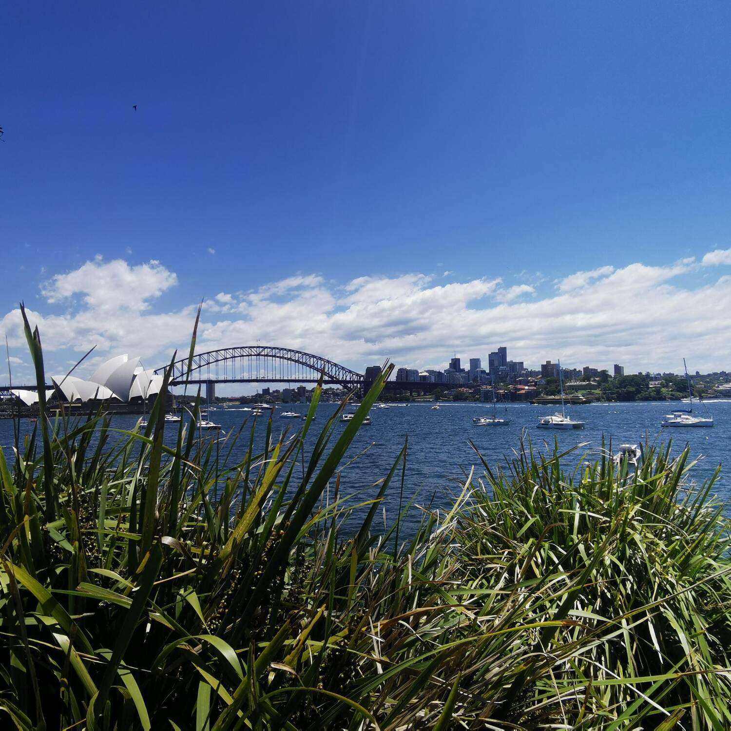 Ostküste Australien