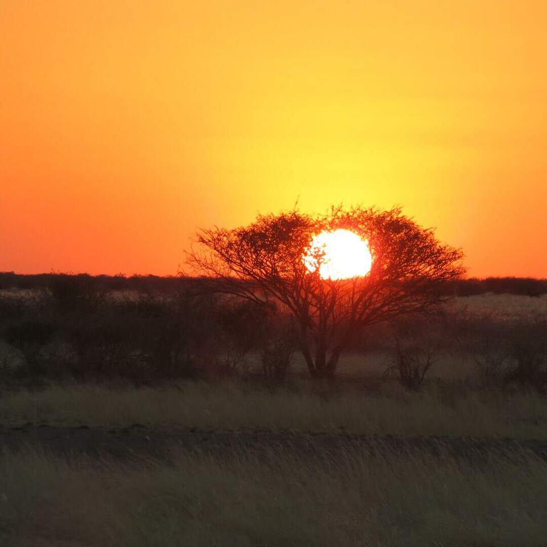 Namibia