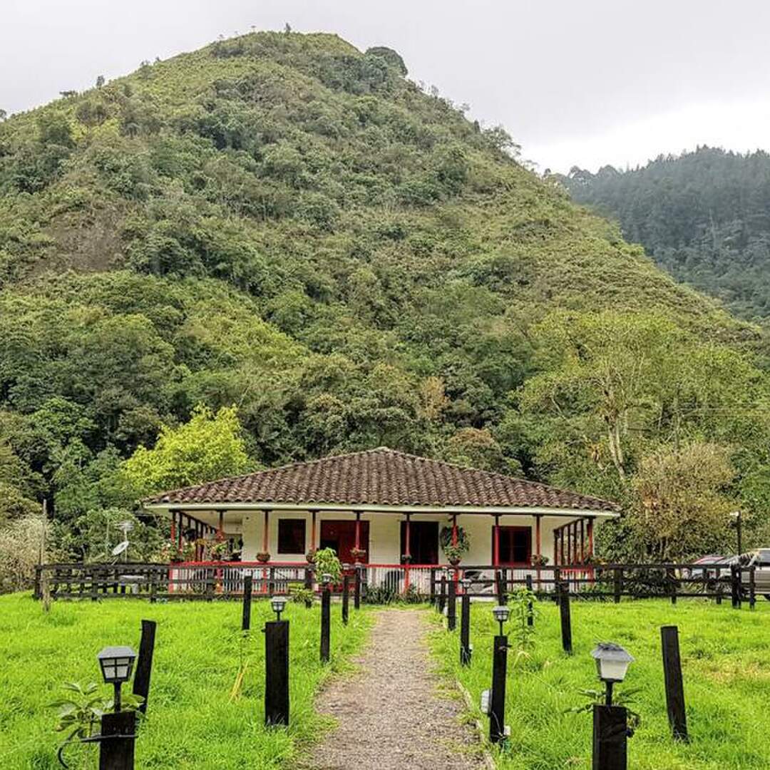 Valle del Cocora