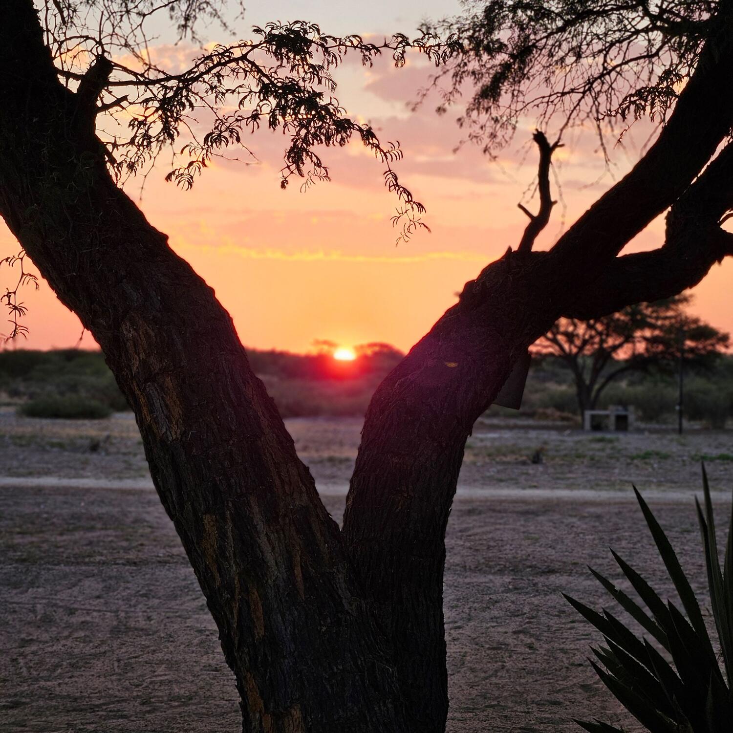 Namibia - Botswana