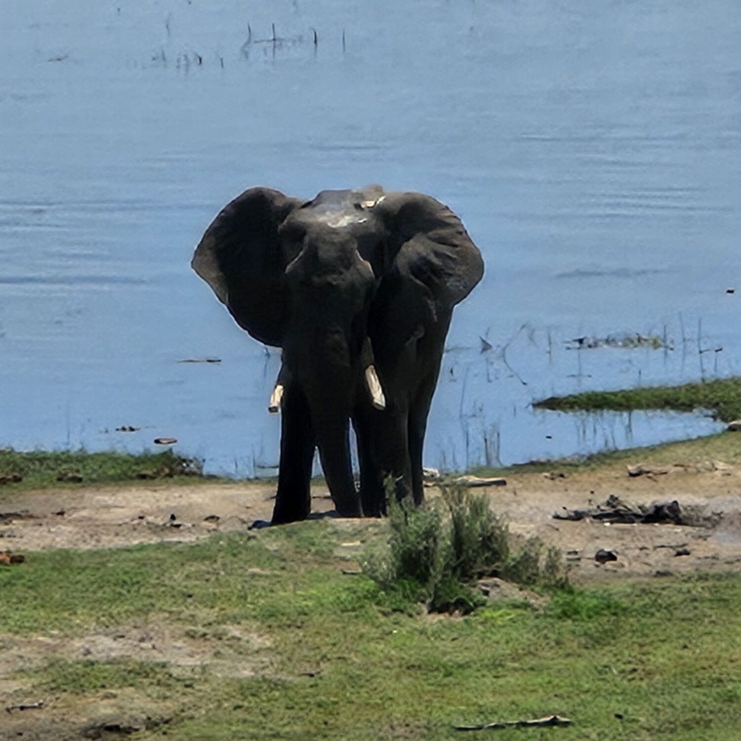 Namibia / Botswana 2026