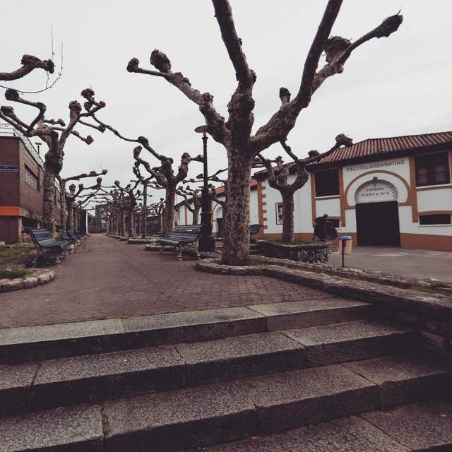 Camino del Norte