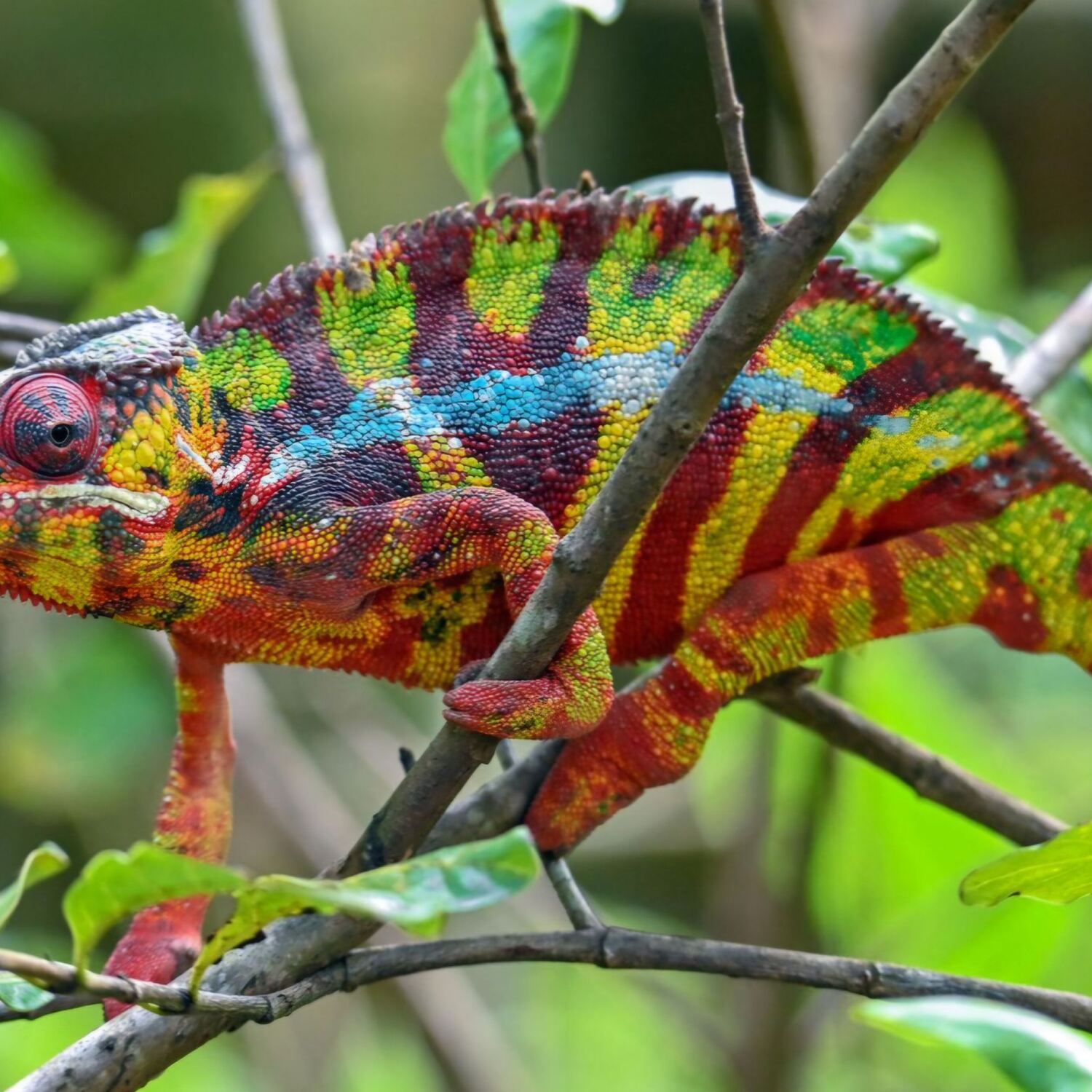 Auf nach Madagaskar