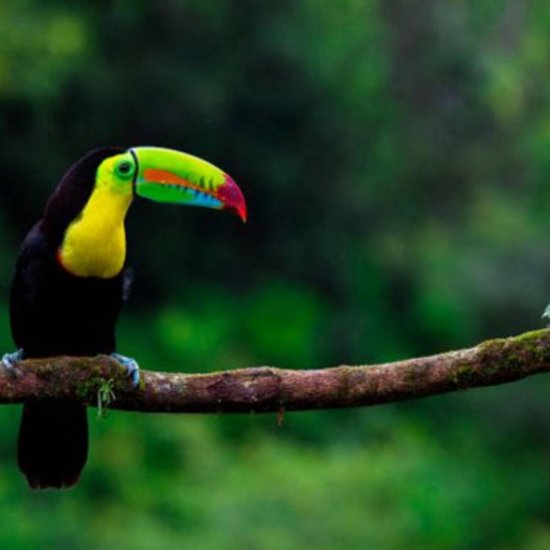 Costa Rica