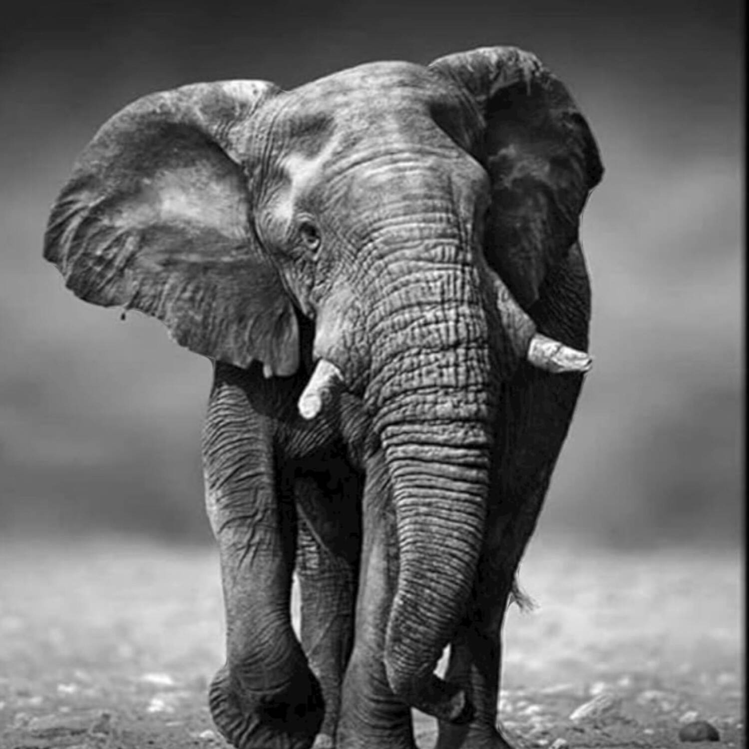 nach Botswana & Namibia