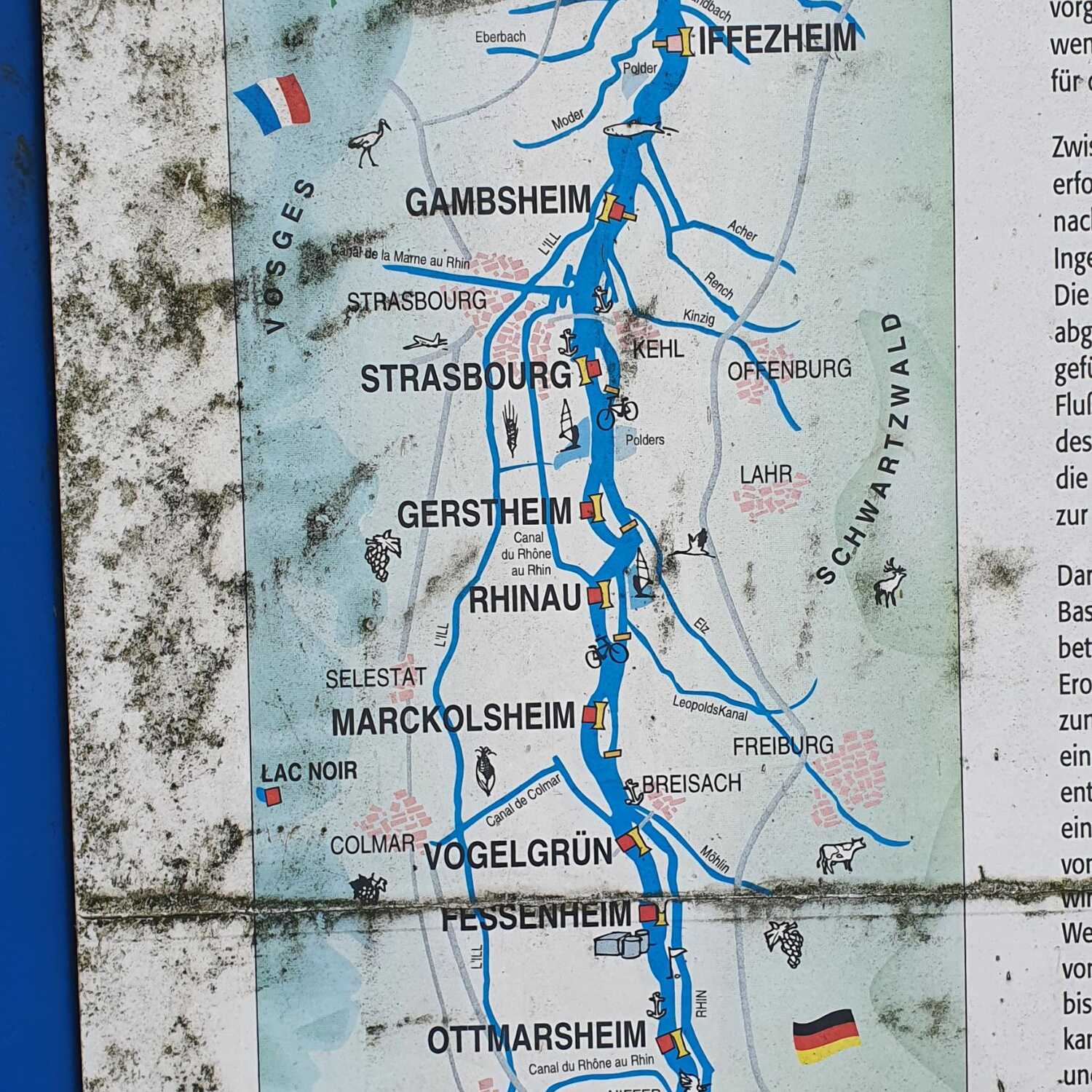 Auf nach Eguisheim