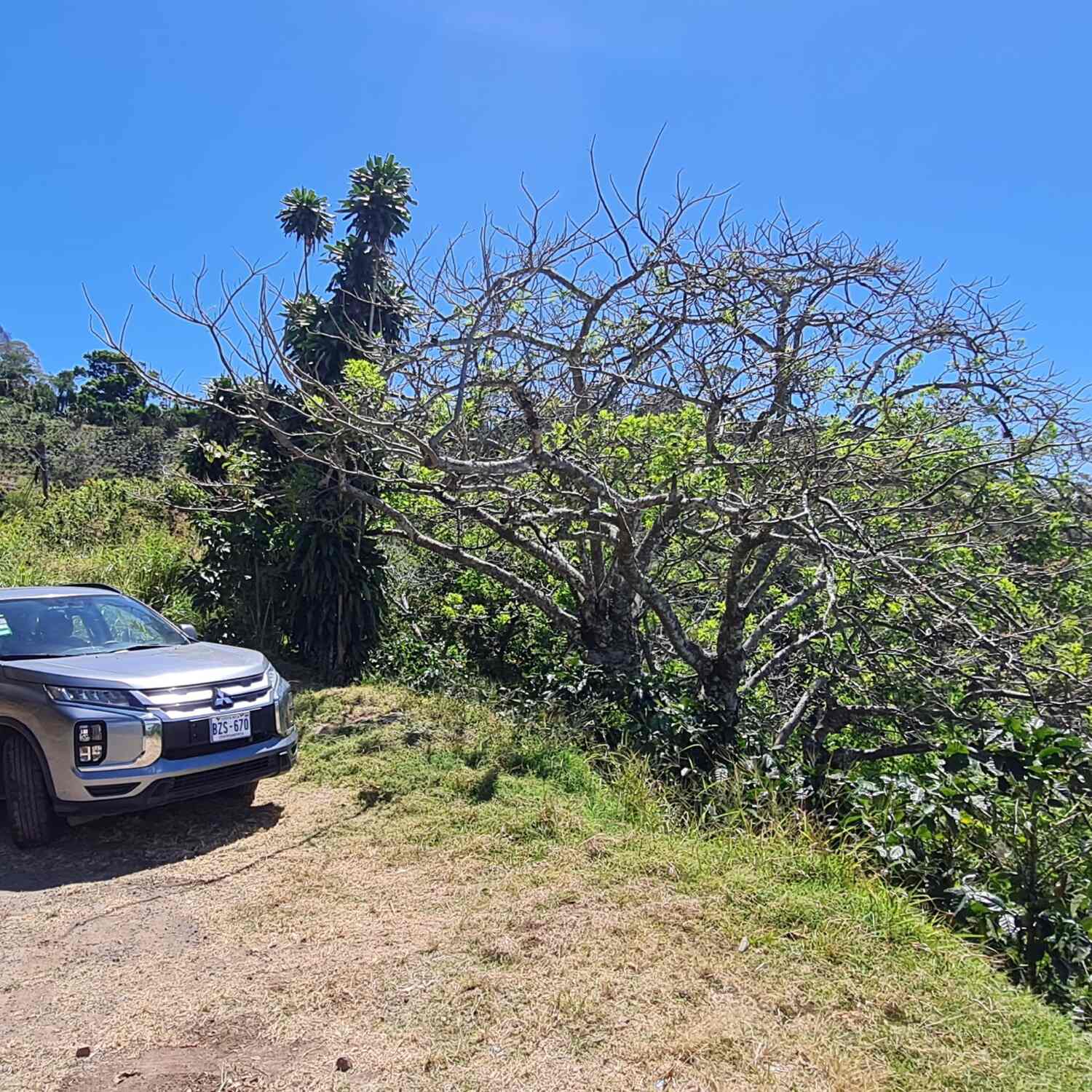 Pura Vida in Costa Rica