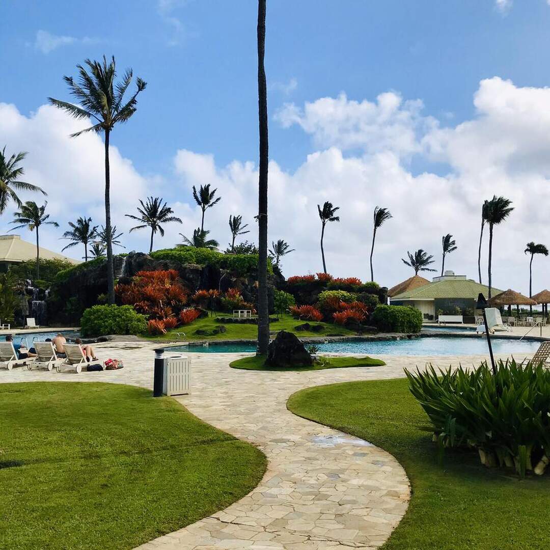 Hawai’i 2020