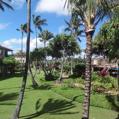 Holoholo Hawaii