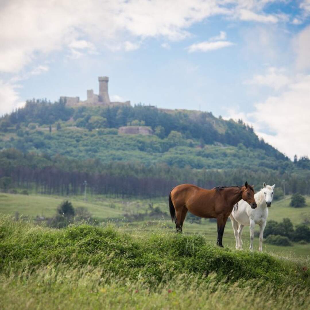 Tuscany Trail 2019