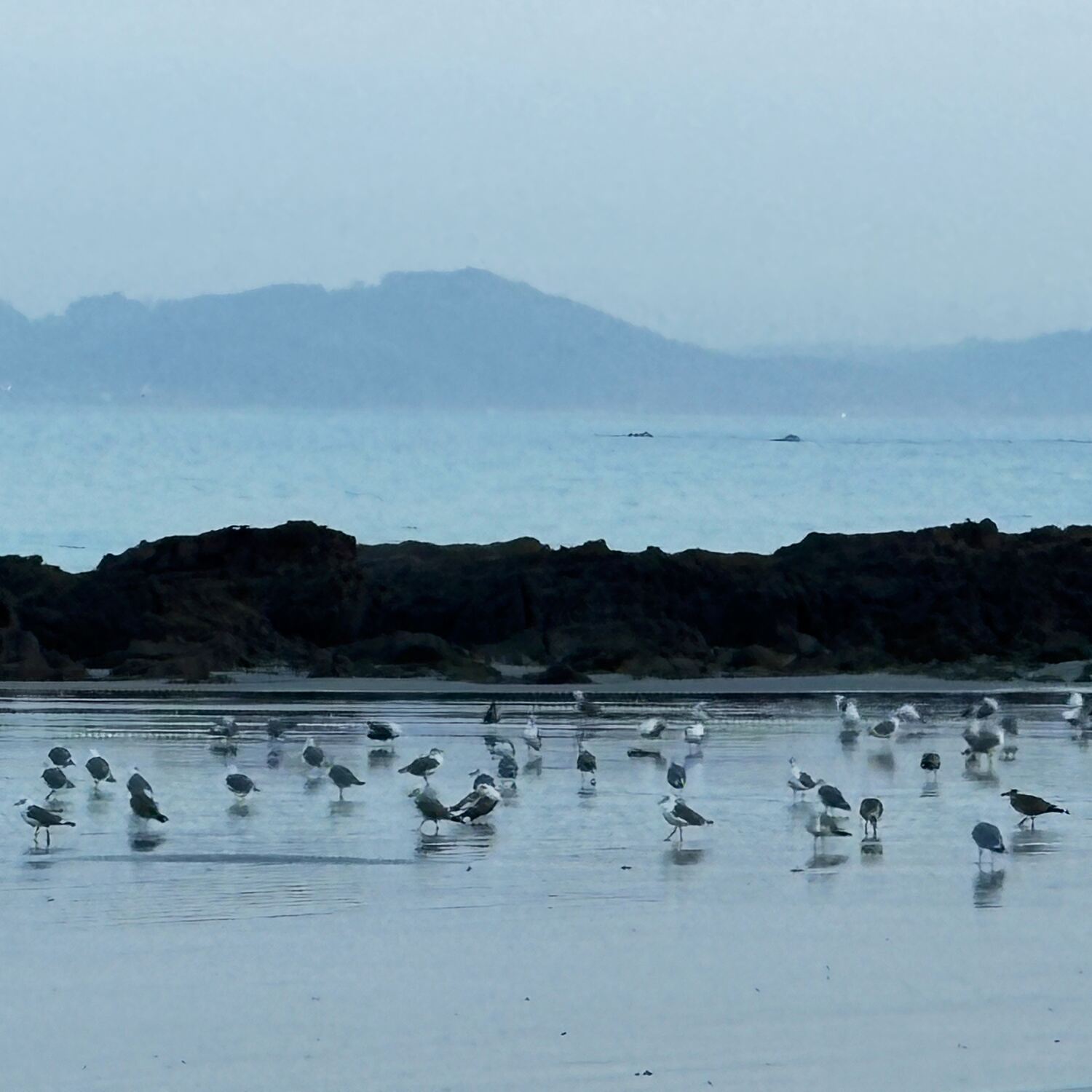 Camino Portuguese 2025