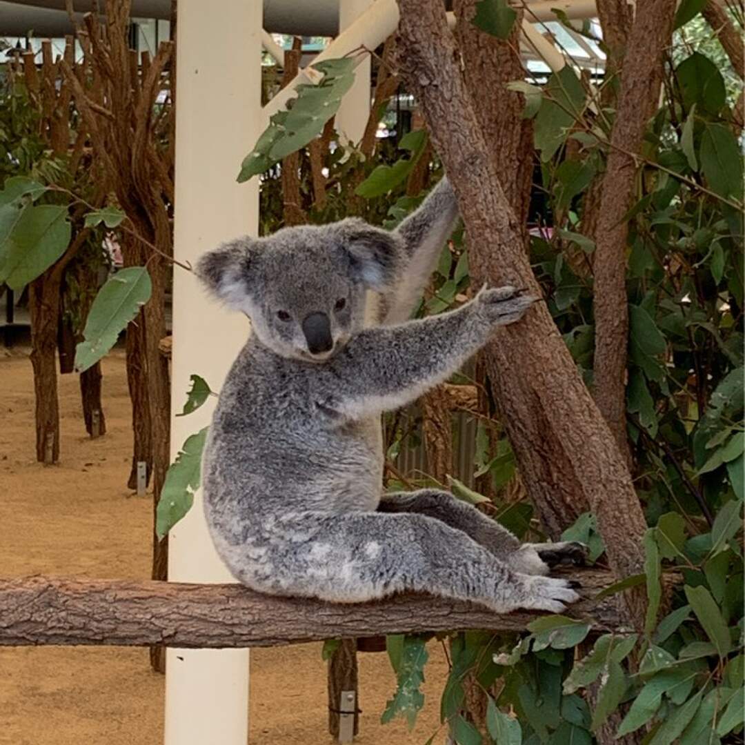 Australien