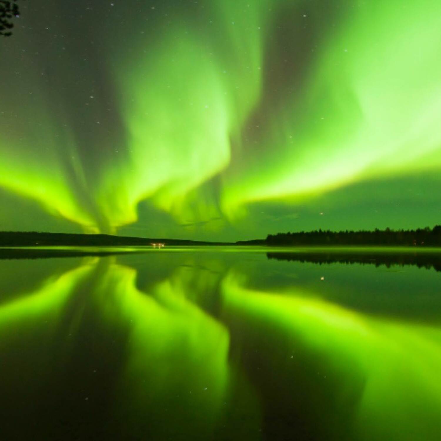 Die 3 Nordlichtjäger